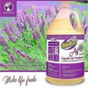 Odoban OdoBan Lavender Liquid Air Freshener Gallon 977562-G4